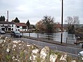 Duck pond at Compton Martin on the Congresbury Yeo