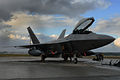 An F-22 Raptor cools down after a 10-hour flight Jan. 10 from Hickam Air Force Base, Hawaii, to Kadena Air Base, Japan. The aircraft is one of 12 deployed from Langley AFB, Va., as part of an air and space expeditionary force rotation.