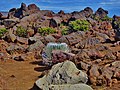 Parc national de Haleakalā