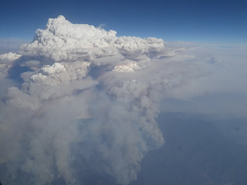 File:Pyrocumulonimbus over Victoria.jpg