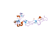 2ao7: Adam10 Disintegrin and cysteine- rich domain