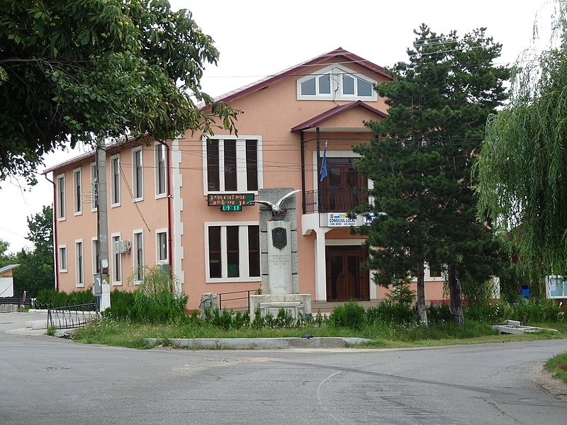 File:RO BZ Merei town hall.jpg