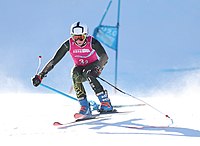 Daniel Gillis at Parallel Mixed Team Event