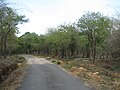 Bannerghatta National Park