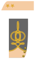 Lieutenant-colonel