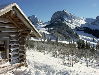 Naturpark Gantrisch Photograph: Marianabeauty Licensing: CC-BY-SA-4.0