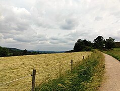 Blick vom Rodderberg auf Bonn