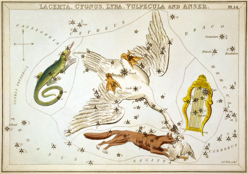 File:Sidney Hall - Urania's Mirror - Lacerta, Cygnus, Lyra, Vulpecula and Anser.png