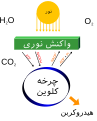 فارسی