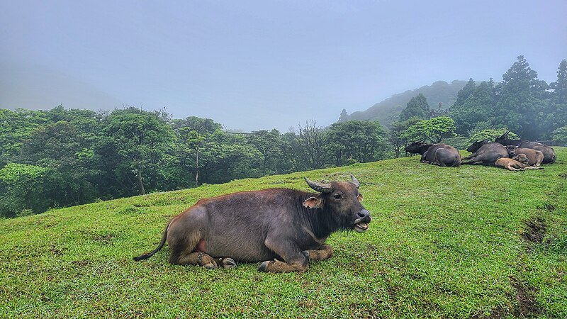 File:Yamingshan National Park-Jerry Shen-03.jpg