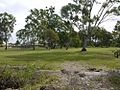 Site of proposed Kippa Ring Railway Station