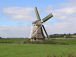 De Miedenmolen in 2009