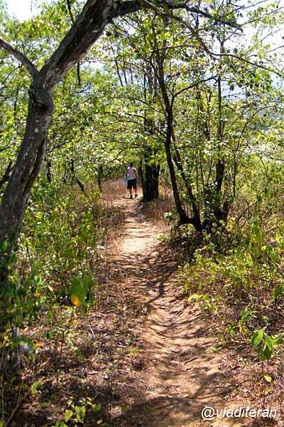 File:Se hizo camino al andar (9106226612).jpg