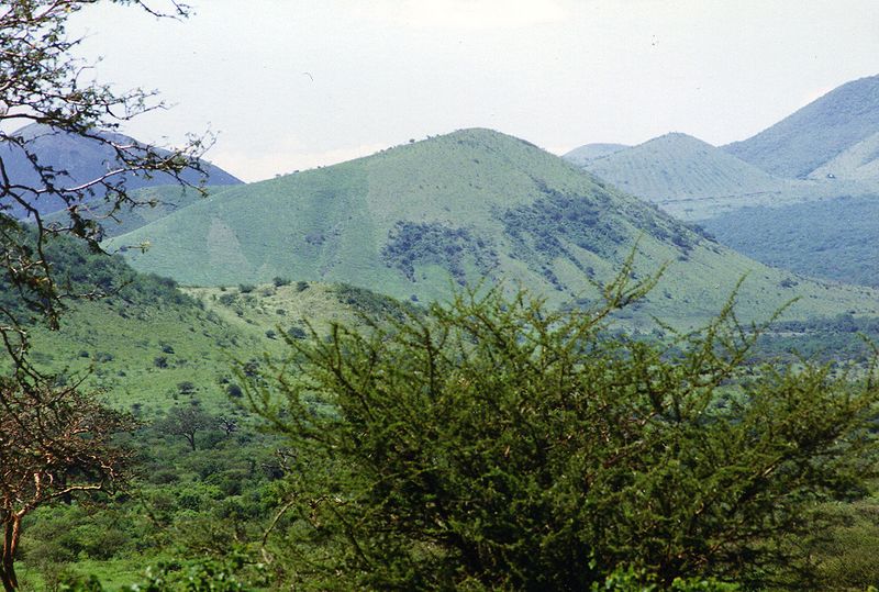 File:Tsavo-West-Mzima-Kenia-135.jpg