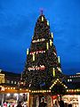 Weihnachtsbaum auf dem Dortmunder Weihnachtsmarkt