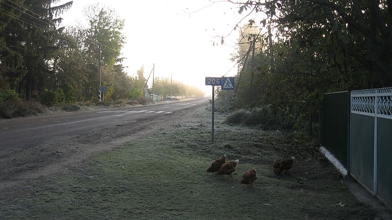 File:Морозным утром - panoramio.jpg