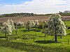 Landschapspark Hart van Haspengouw