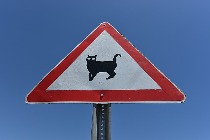 File:Cat road sign in Turkey.jpg