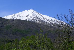 Punta Quinseina