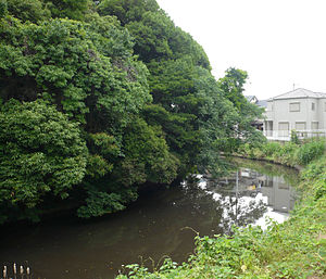 本丸跡（高屋築山古墳を流用している）