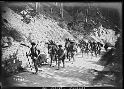 Convoi muletier du 159e RIA en manœuvres, sur la route de Loza le 1er septembre 1930.