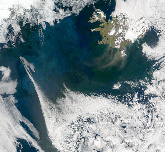 File:North Atlantic Bloom.jpg