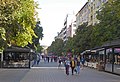 il viale Vitoša