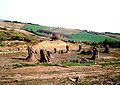 Foresta fossile di Dunarobba, Avigliano Umbro, Terni, Umbria, Italia