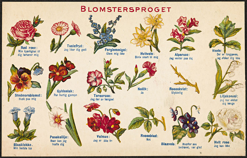 File:Postkort Blomstersproget.jpg