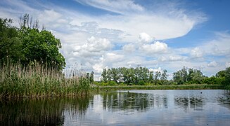 La plaine inondable de la Psla classée[4].