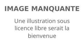 Description de l'image defaut.svg.