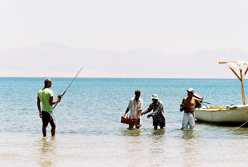 File:Fishing Trip at the Red Sea.jpg