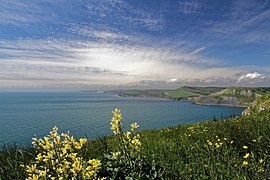 Jurassic Coast west of St Aldhelm's Head.JPG