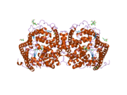 2c6n: STRUCTURE OF HUMAN SOMATIC ANGIONTENSIN-I CONVERTING ENZYME N DOMAIN WITH LISINOPRIL