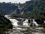 Agasthiyar waterfall, Papanasam