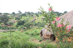 Houses along the road from Pweto to Dubie, Katanga