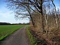 Naturschutzgebiet Mengeder Heide