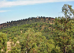 View of 'Point 226', on Bou Aoukaz, from 'Point 171'