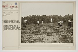 Colleges and Universities - Bryn Mawr College - Bryn Mawr College girls study farming; preparing to spread knowledge as community leaders - NARA - 26425365.jpg