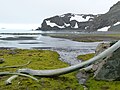 Polish Bluff from Argentina Cove