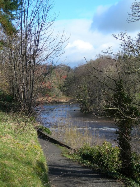 File:River Ayr at Auchincruive - geograph.org.uk - 355484.jpg