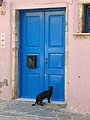 cat in front of a blue door in crete, greece