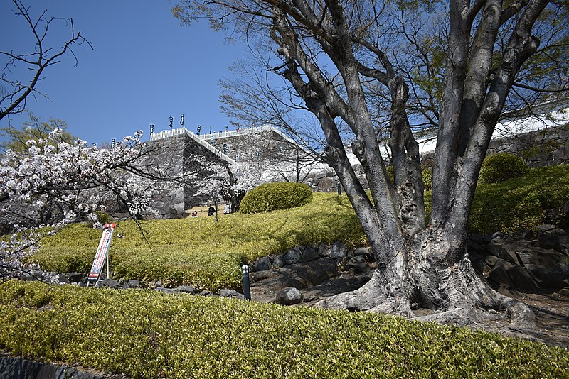 File:Kofu Castle 201904p.jpg