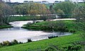 These lagoons, connected to the River Tees, provide a quiet backwater for fish to spawn and to take refuge in times of high water levels