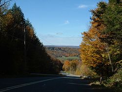 Frizzell Hill, looking west towards the town center