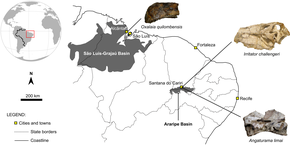 巴西东北部地区地图，标记位置为奥沙拉龙、激龙和崇高龙化石发现地