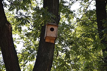 Постављене кућице за птице