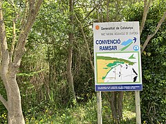 Cartell Convenció Ramsar a Empordà.jpg