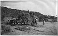 The last load, (Rudolf Eickemeyer, 1893).