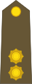 Lieutenant en premier (Luxembourg Army)[18]